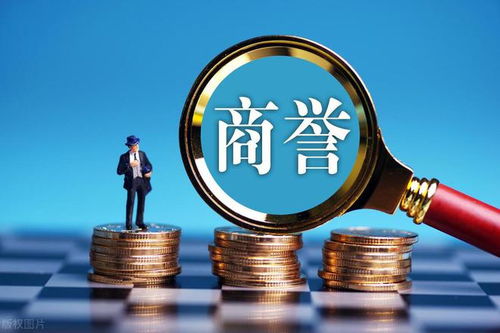 慧辰股份商譽(yù)暴雷存 貓膩 投資者能否索賠